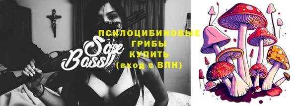ГАЛЛЮЦИНОГЕННЫЕ ГРИБЫ Красноперекопск