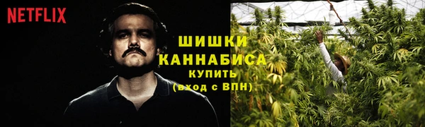 ПСИЛОЦИБИНОВЫЕ ГРИБЫ Краснослободск