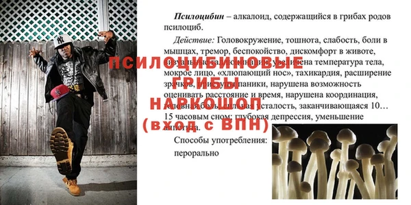 ПСИЛОЦИБИНОВЫЕ ГРИБЫ Краснослободск