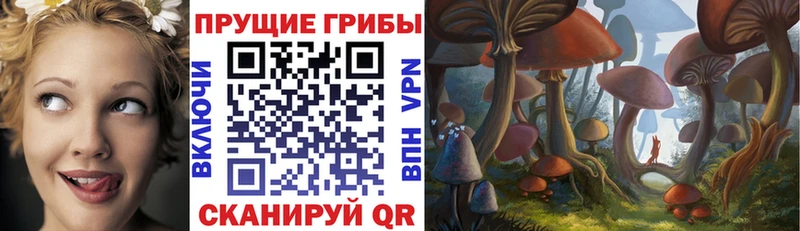 Купить  Нижняя Тура  Галлюциногенные грибы Psilocybe 