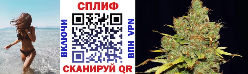 Шишки марихуана Bruce Banner  Купить где  Нижняя Тура 